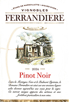 Ferrandière Pays dOc Pinot Noir